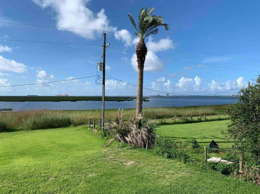 a palm tree in a field next to the water at Hannah's Hideaway First row beautiful gulf views!! in Bolivar Peninsula