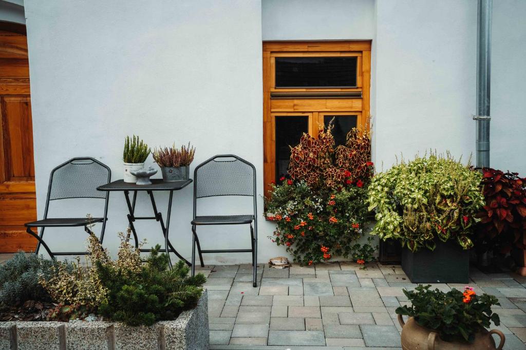 Zahrada ubytování ČÁKYHO KÚRIA - apartmán pre 5 osôb s krbom a saunami