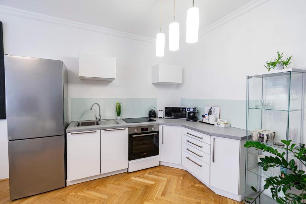 Kuchyňa alebo kuchynka v ubytovaní BUDACASTLE PANORAMIC LUXURIOUS FAMILY APT, FREE PARKING included