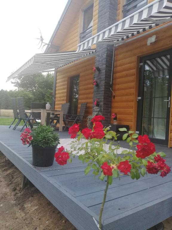 Vonkajšia záhrada v ubytovaní Chata Nova