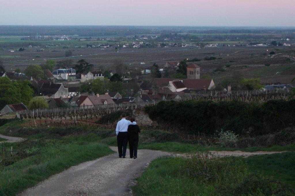 Hosté ubytování Hôtel Les Deux Chèvres Gevrey-Chambertin