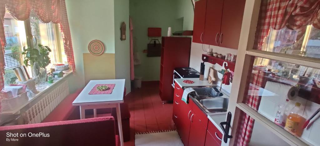 Kuchyň nebo kuchyňský kout v ubytování Apartman "Dom Stankovića"
