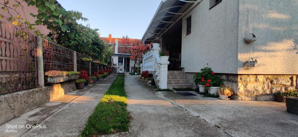 Zahrada ubytování Apartman "Dom Stankovića"