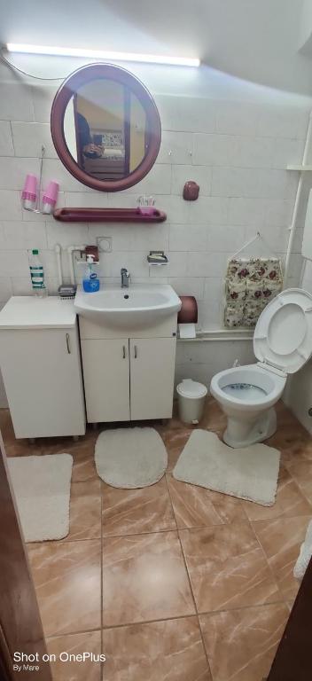Koupelna v ubytování Apartman "Dom Stankovića"