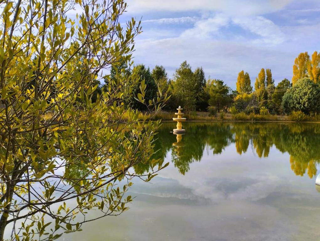 um lago num parque com uma fonte no meio em Finca Paraíso Rural em El Burgo de Osma