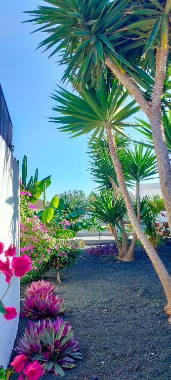 A garden outside Villa Fedelian 2 Playa Blanca