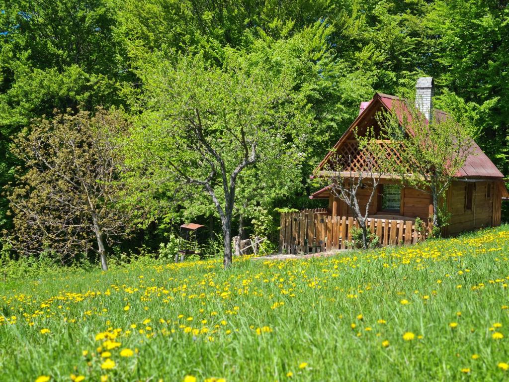 Zahrada ubytování Трембіта
