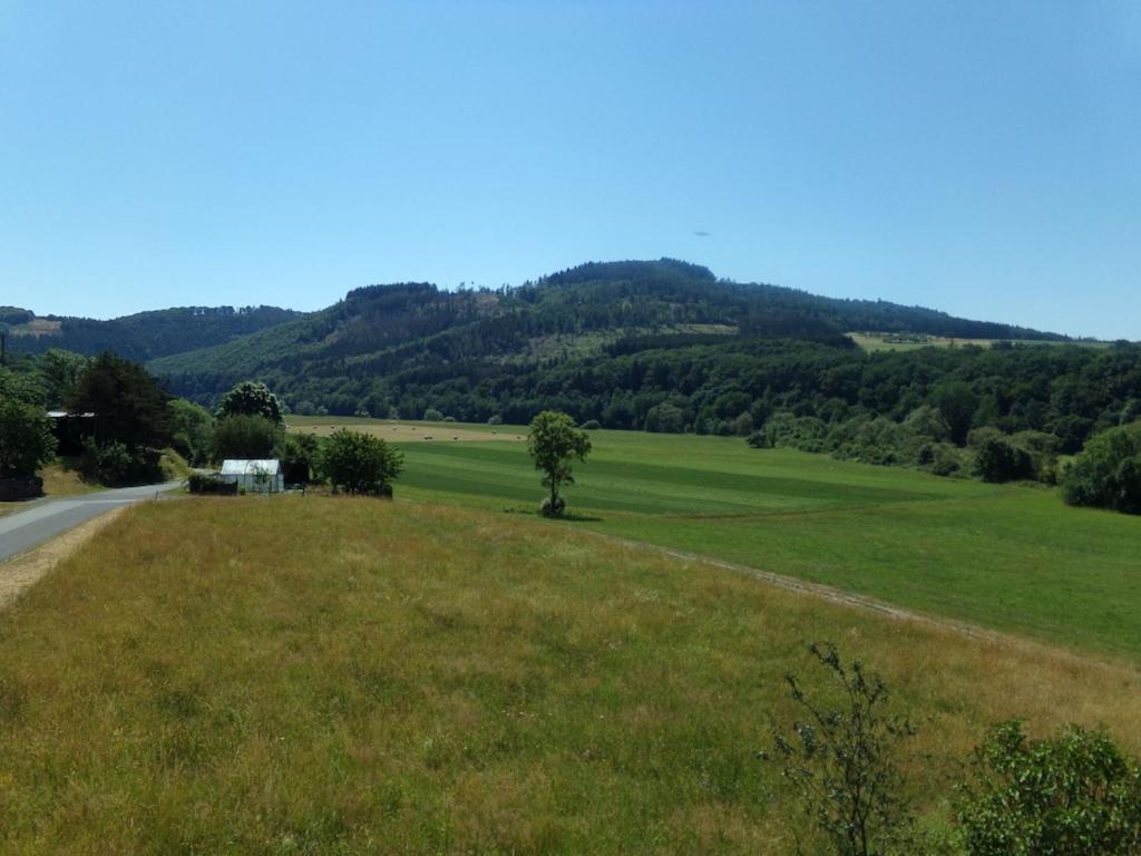 um campo verde com uma árvore no meio de uma estrada em Ederauenblick em Dodenau