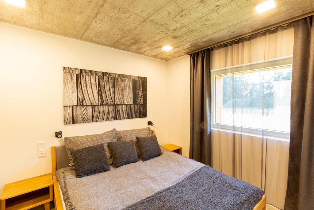 1 dormitorio con cama y ventana grande en Nádfa Apartman, en Dunasziget