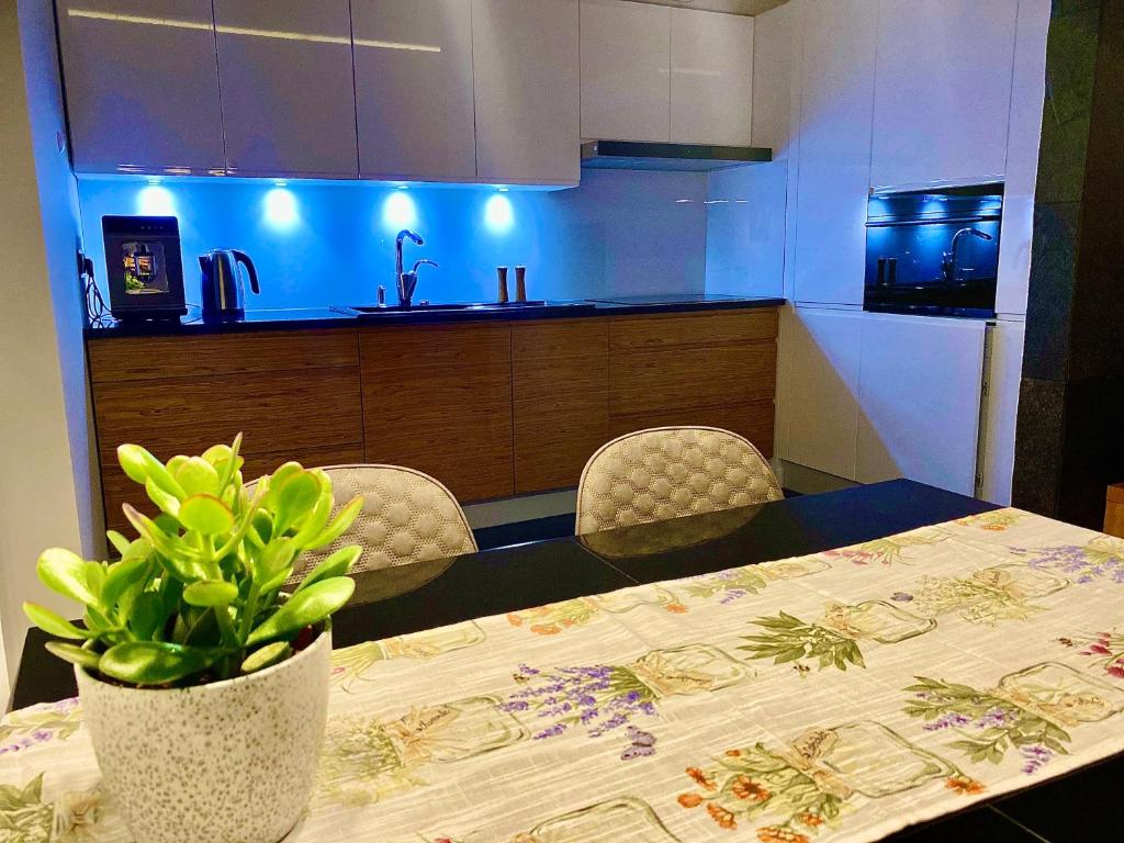 Kuchyňa alebo kuchynka v ubytovaní OLIMPIC Apartament Klimatyzacja Garaż Winda Suwałki