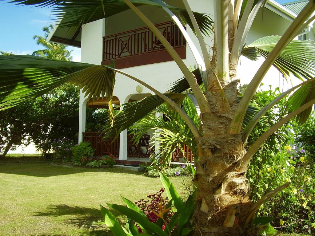 a palm tree in front of a house at Fairy-Tern Chalets Cerf Island in Cerf Island