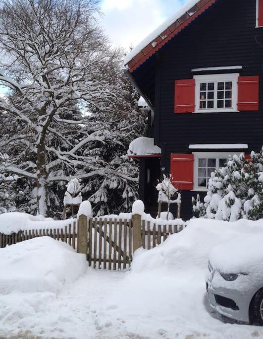 Villa Herzog - Ferienhaus für 6 Personen in Braunlage, Harz v zimě