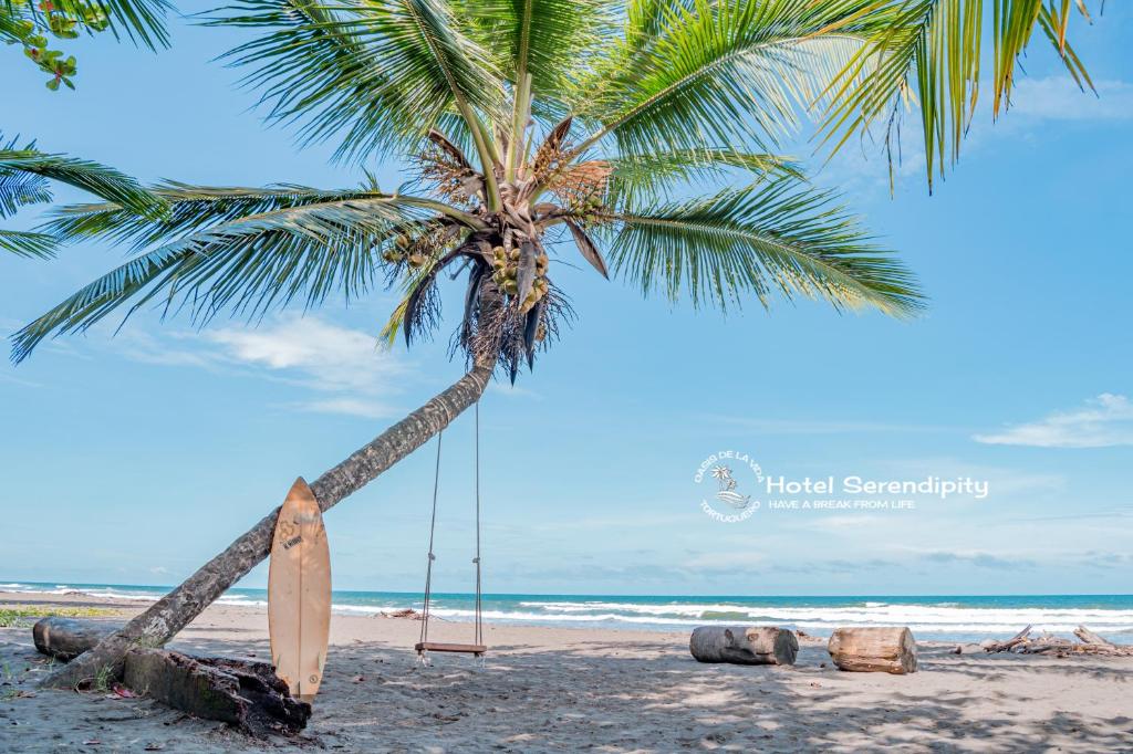 a swing hanging from a palm tree on a beach at Hotel Serendipity in Tortuguero