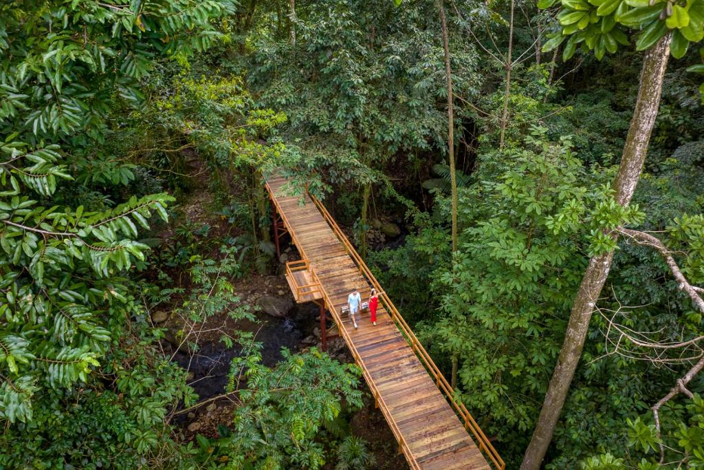 an aerial view of a wooden bridge in the jungle at Chachagua Rainforest Hotel & Hot Springs in Fortuna