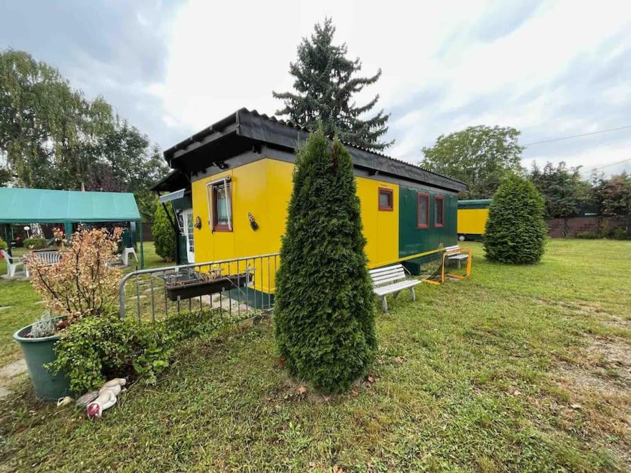 a tiny house in a yard with a tree at Wiesbaden Mainz kleines Haus mit Garten Grill in Wiesbaden