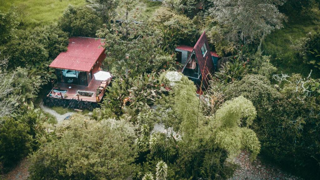 una vista aérea de una casa en los árboles en Glamping Salento con jacuzzi climatizado, en Salento