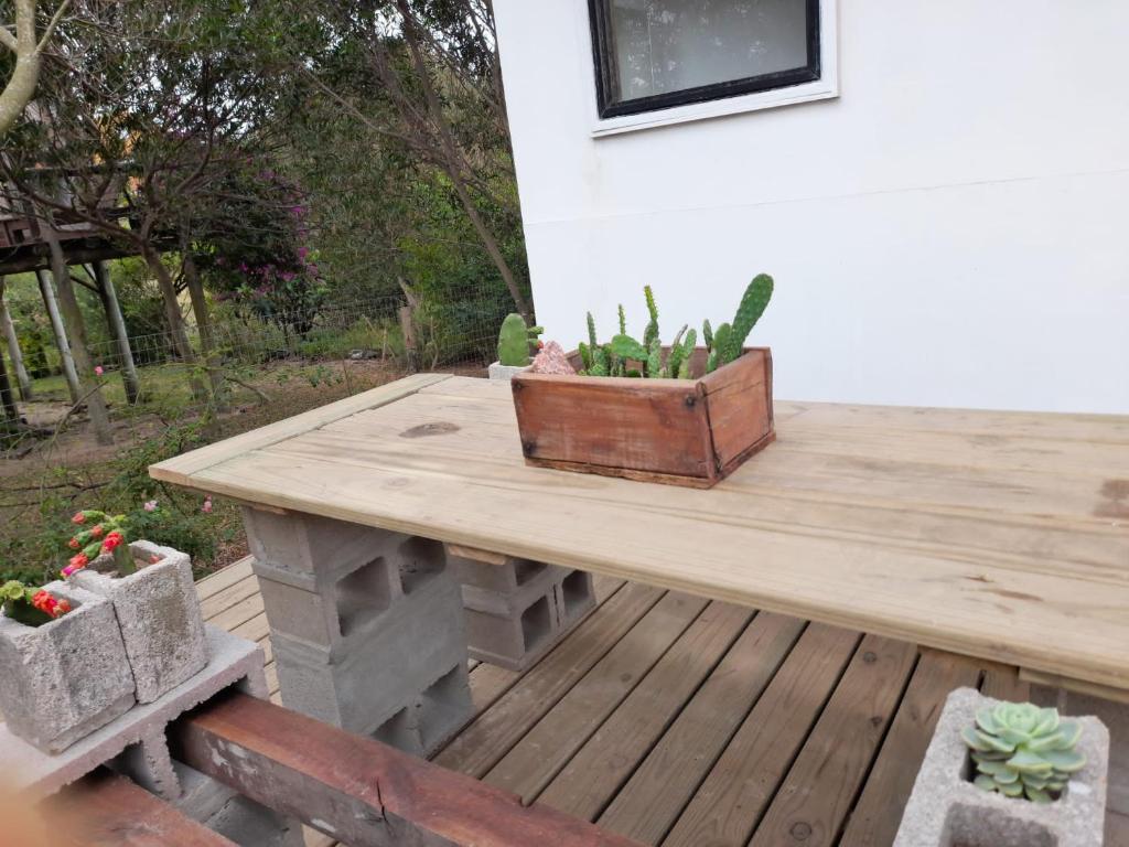 LA CASA DEL ARBOL, Punta Del Diablo (updated prices 2024)