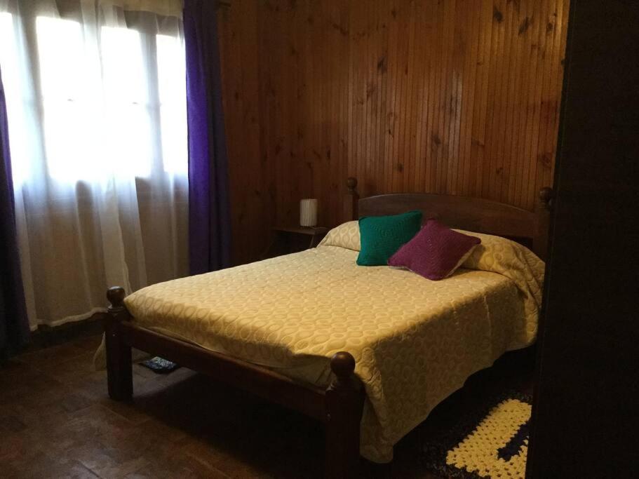 um quarto com uma cama com duas almofadas em Vintage Viedma em Viedma