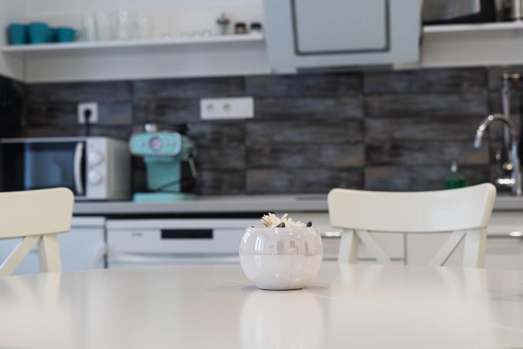 Kuchyň nebo kuchyňský kout v ubytování MYKONOS APARTMAN
