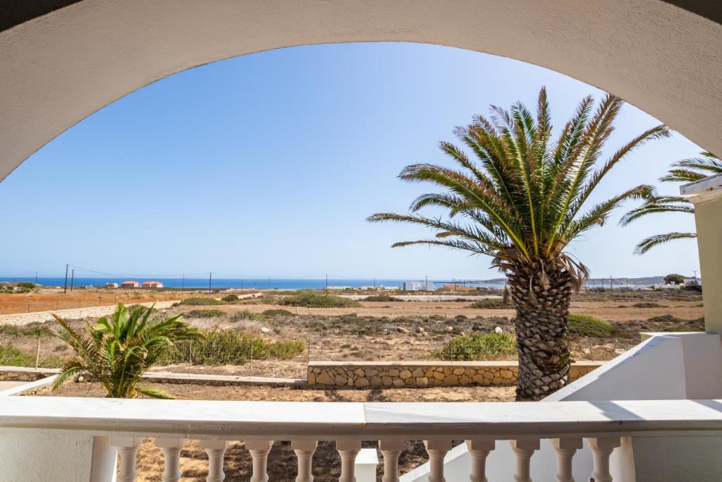a palm tree on a balcony with a view of the beach at Oceanviewvilla in Karpathos