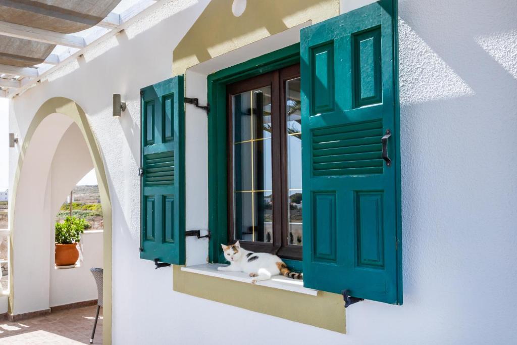 a cat sitting on a window sill in a house at Oceanviewvilla in Karpathos