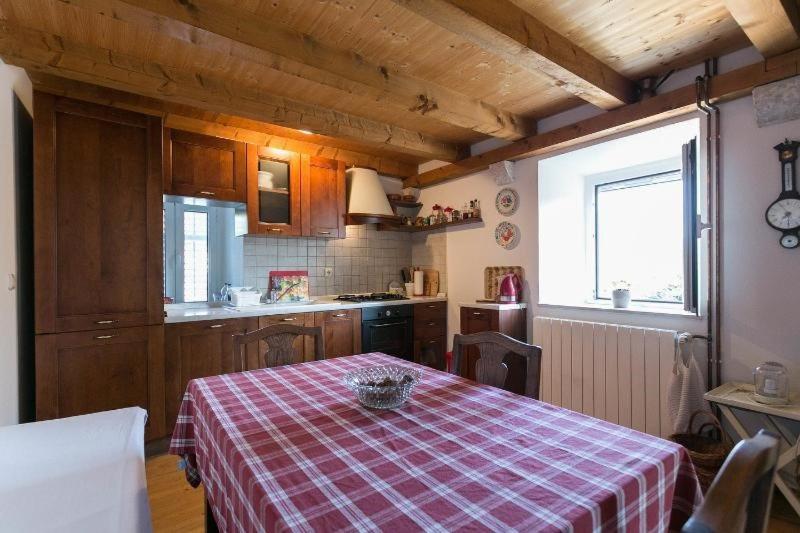 Kuchyňa alebo kuchynka v ubytovaní Rural villa Forest with private pool near Dubrovnik