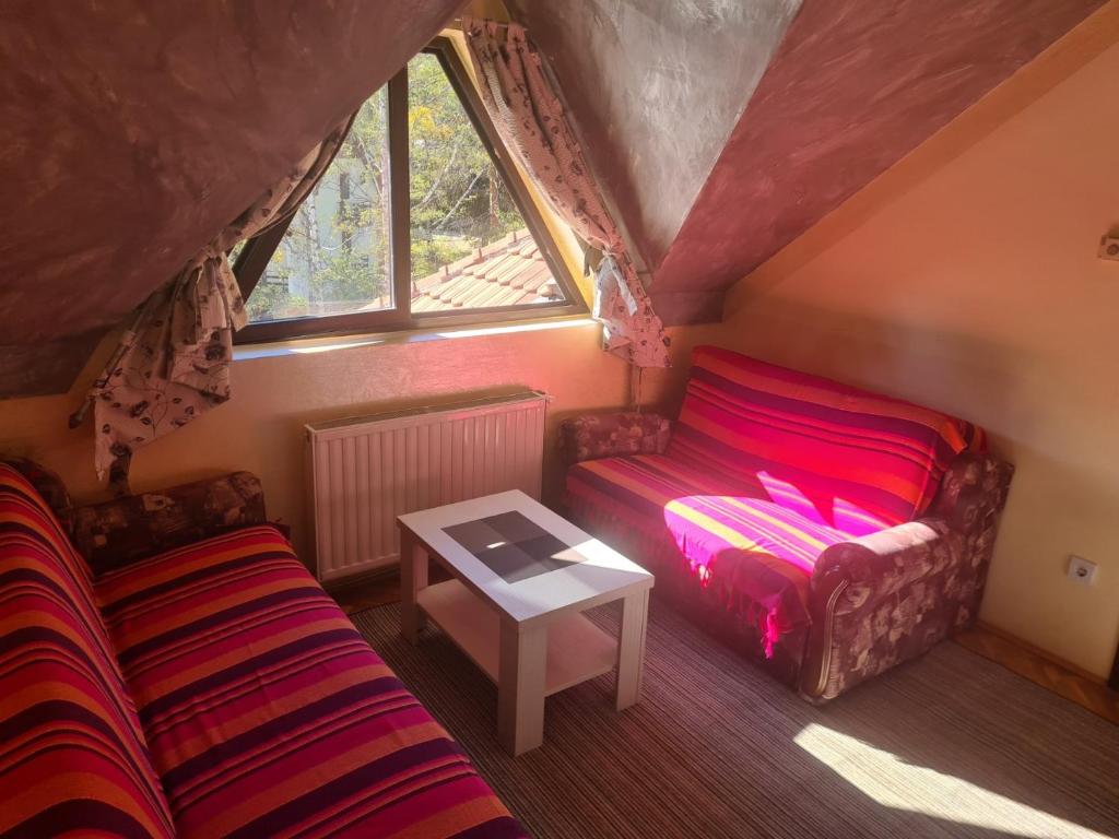 ズラティボールにあるApartman Vujovicのソファとテーブルのあるリビングルーム