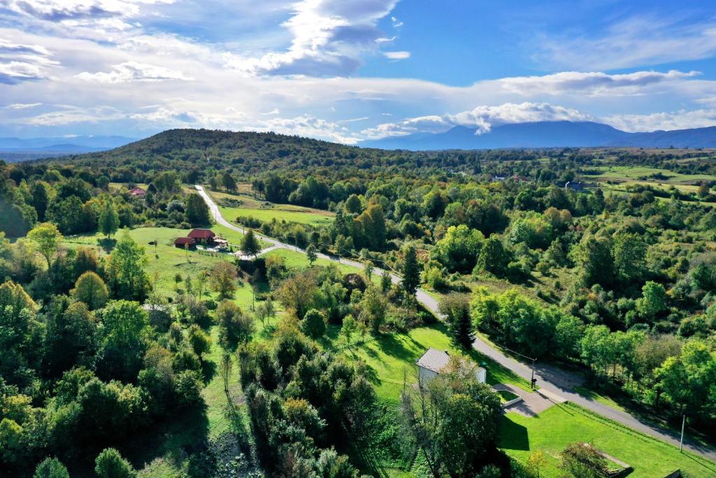 an aerial view of a field with trees and a road at Villa Diva Grabovčeva in Rakovica