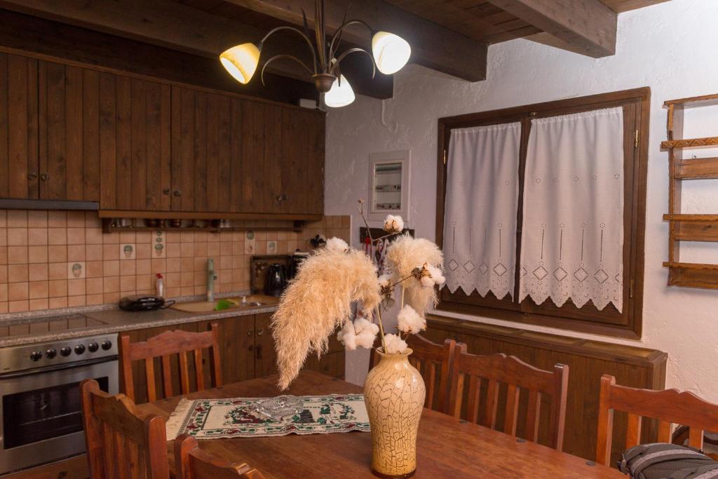 Kuchyň nebo kuchyňský kout v ubytování Arxontiko Palamas
