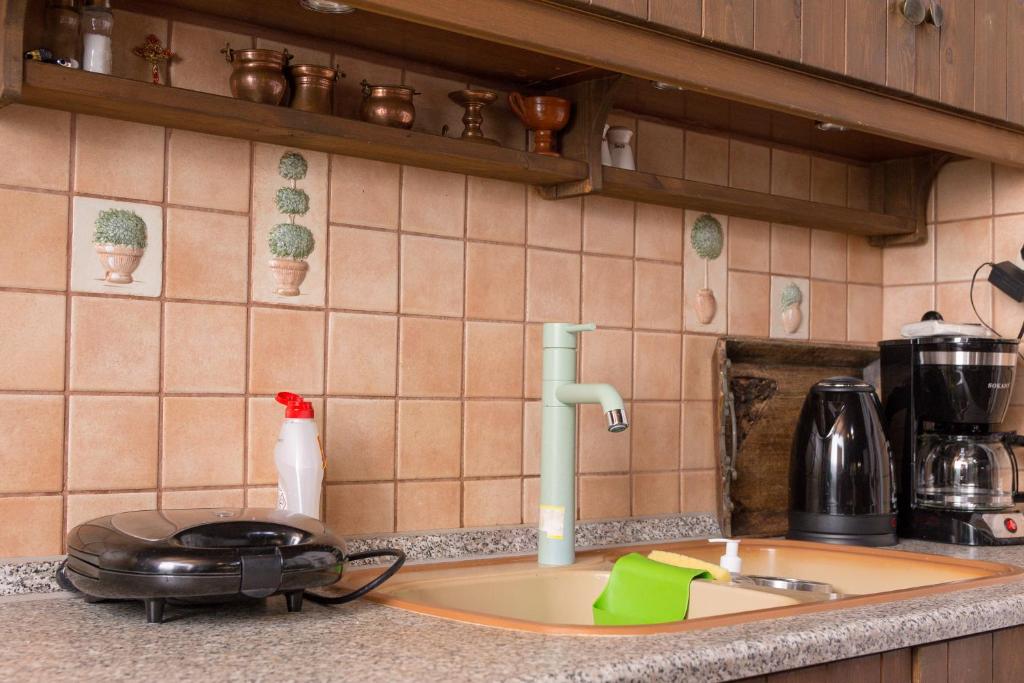 Kuchyň nebo kuchyňský kout v ubytování Arxontiko Palamas