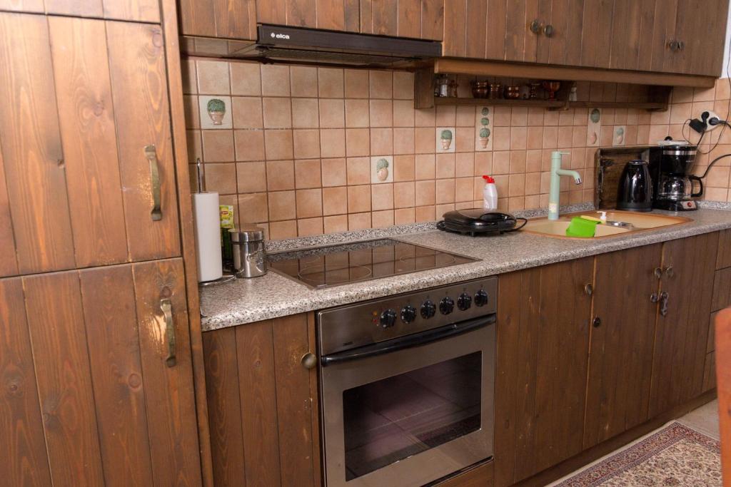 Kuchyň nebo kuchyňský kout v ubytování Arxontiko Palamas