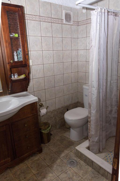 Koupelna v ubytování Arxontiko Palamas