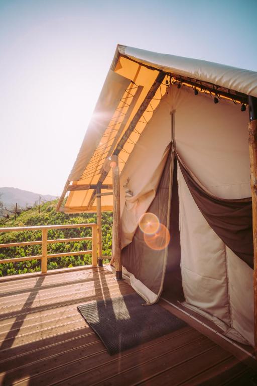 Р“Р»СЌРјРїРёРЅРі telecamp