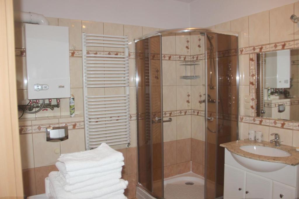 Koupelna v ubytování Apartament Jawornik