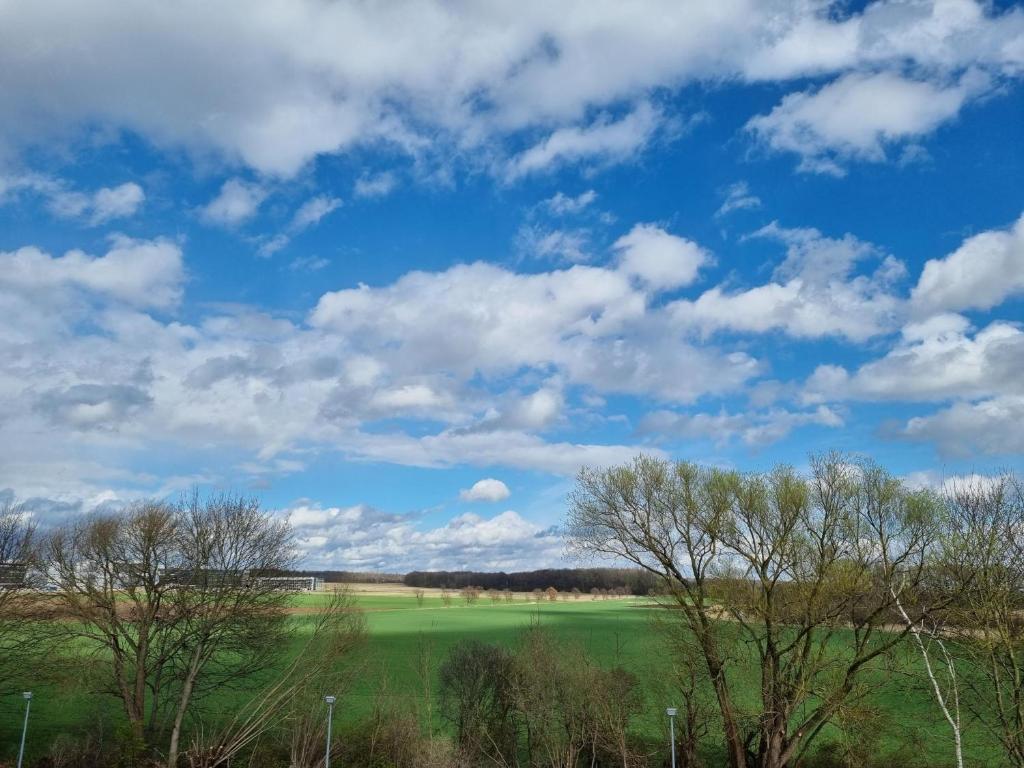 Erbenholz Hotel - Resim 16