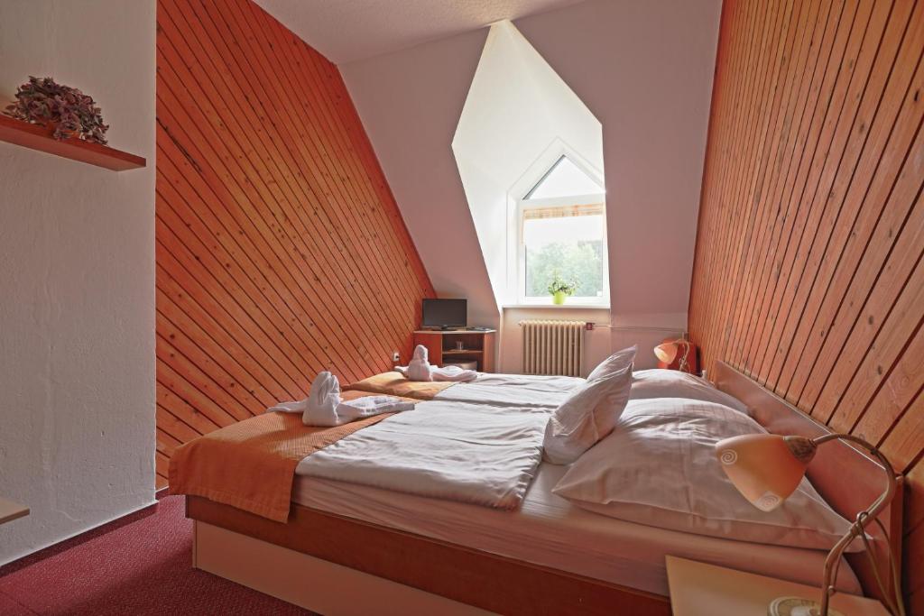 Hotel Skicentrum - 3