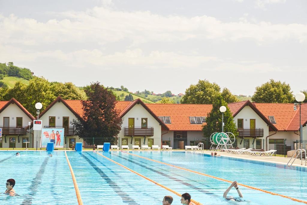 a group of people swimming in a swimming pool at Thermal Apartments Lendava in Lendava