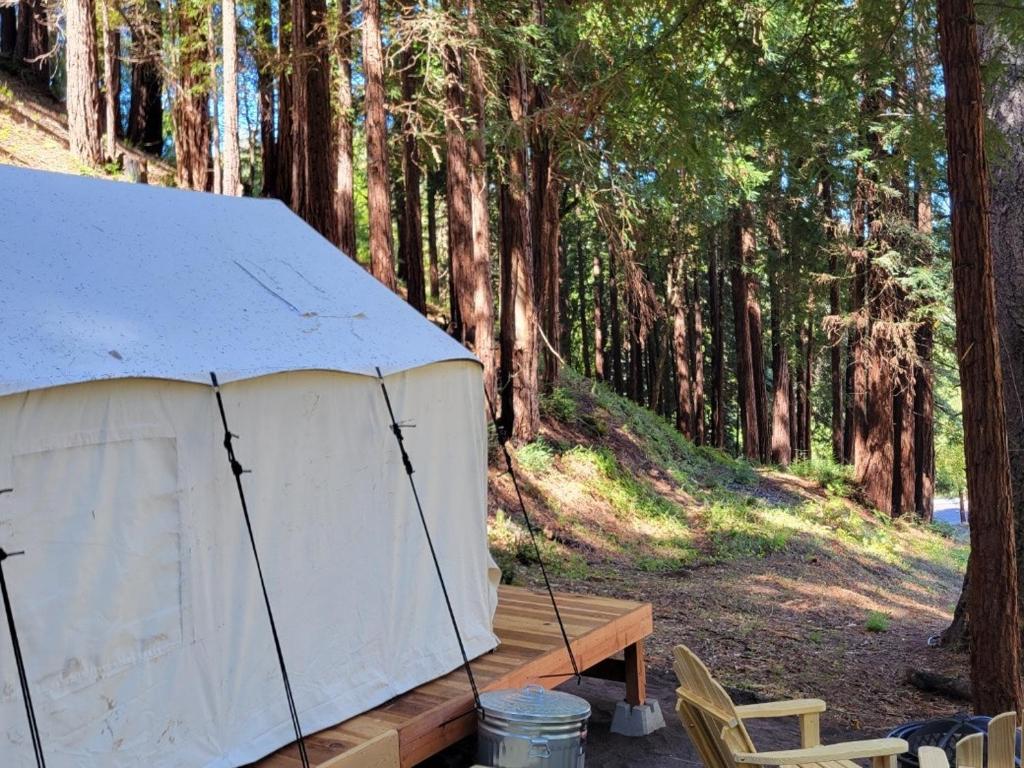 Soquel – Photos 3
