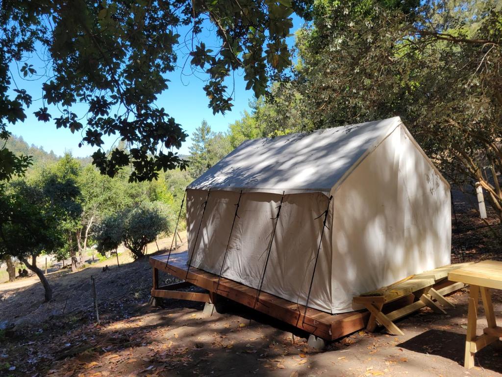 Soquel