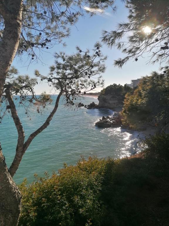 Fotografia z galérie ubytovania Casa Los Angeles v destinácii Miami Platja