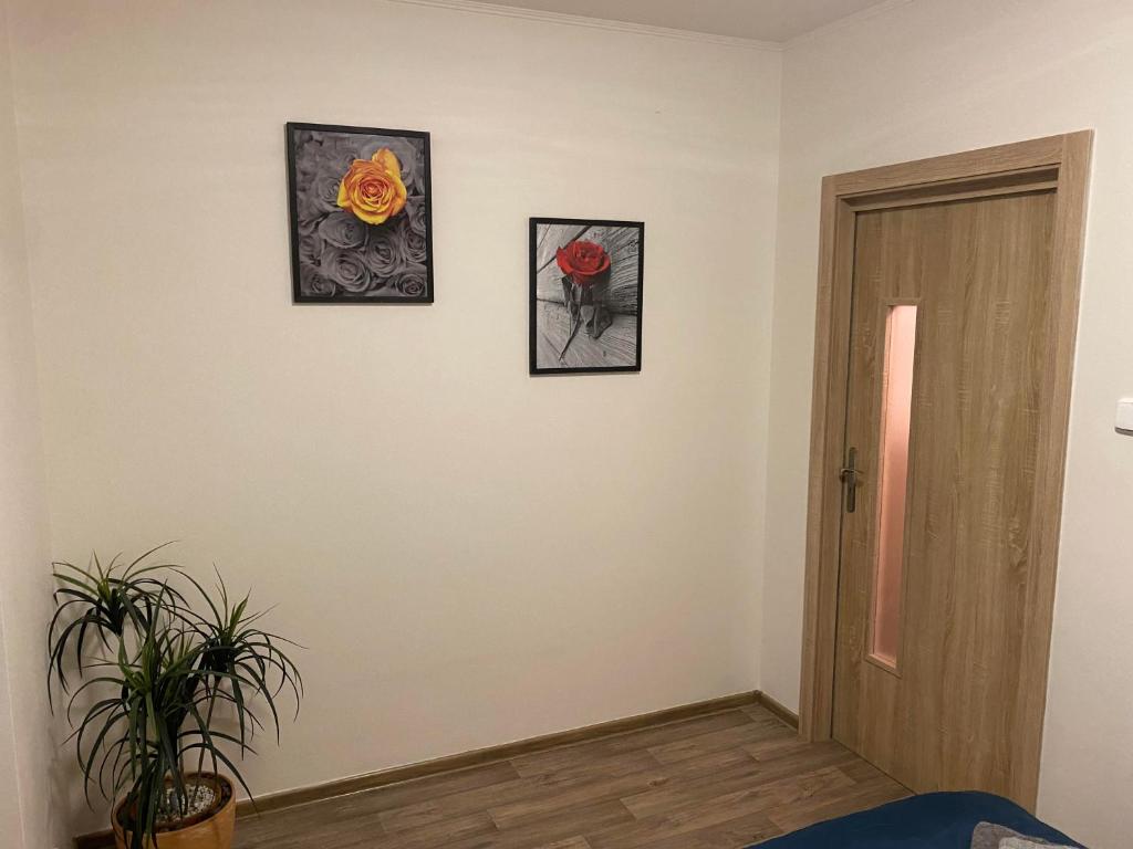 Fotografie z fotogalerie ubytování ApartmentsCarlsbad v destinaci Karlovy Vary