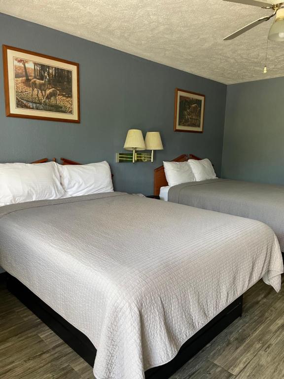 Adamsville的住宿－Deerfield Inn，卧室设有两张床铺和蓝色的墙壁
