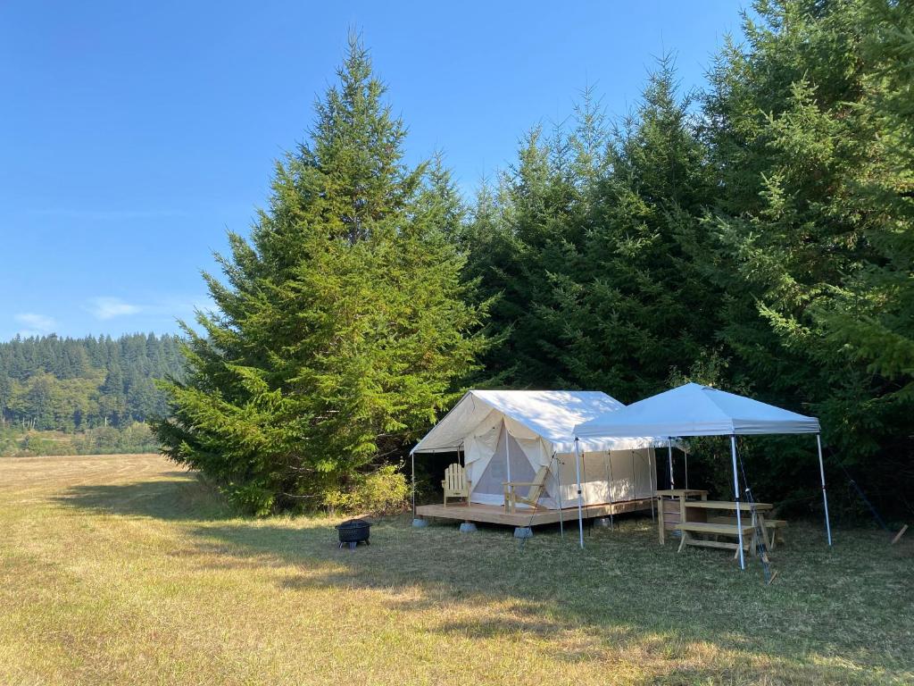 Rose Guidelines violent Tentrr Signature Site - Walker Campsite on the Riverbend Preserve, Chehalis – aktuālās 2022. gada cenas Rose Guidelines violent Tentrr Signature Site - Walker Campsite on the Riverbend Preserve, Chehalis – aktuālās 2022. gada cenas