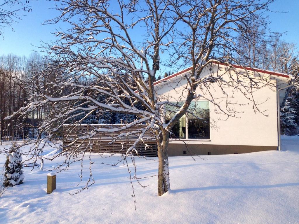 a tree in the snow in front of a house at Villa Vihti in Ojakkala