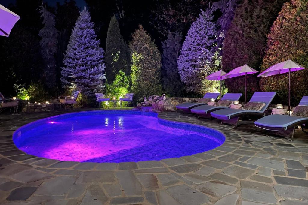 una piscina con iluminación púrpura en un jardín por la noche en Glamorous Cabana, en Newburyport
