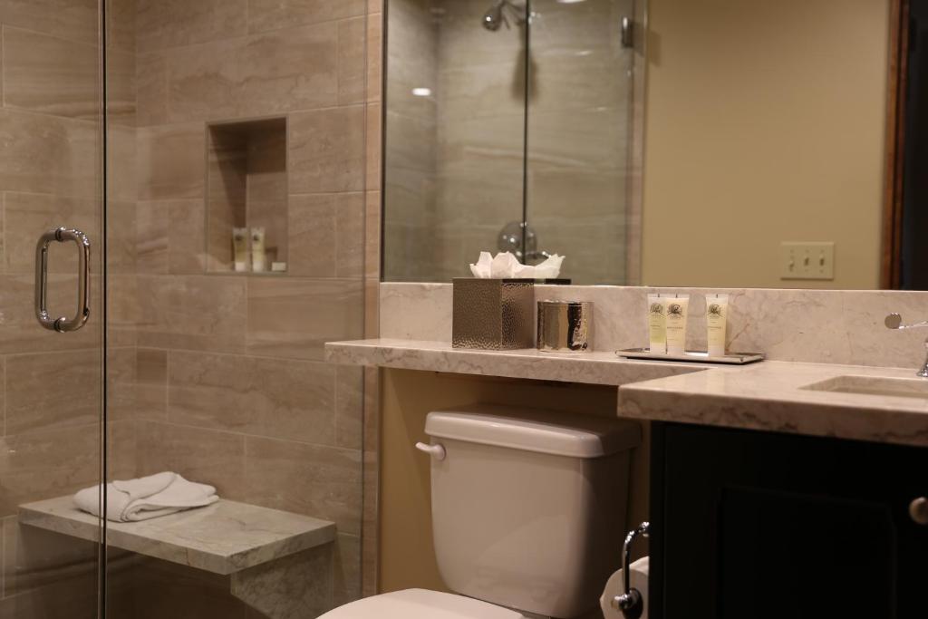 a bathroom with a shower and a toilet and a sink at Studio Hotel Room in Park City
