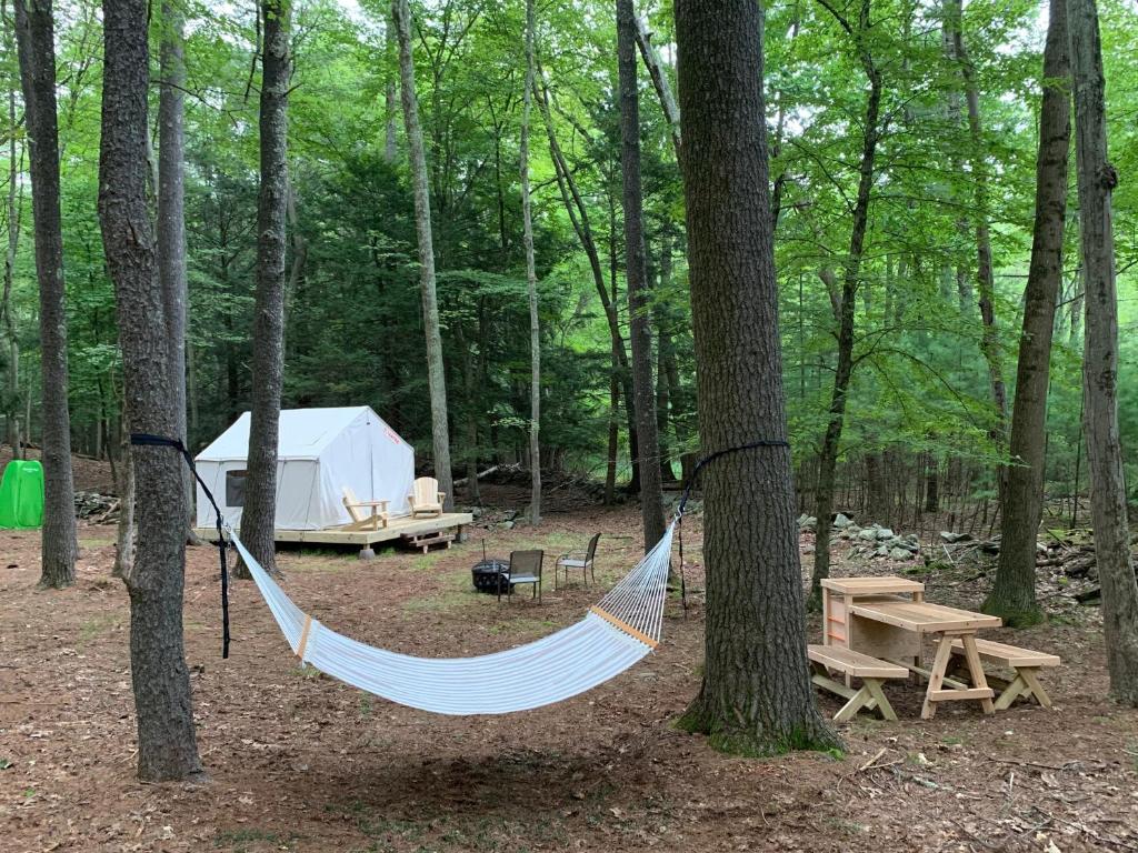 Luxury tent Tentrr Signature Site Highwoods two, Saugerties, NY