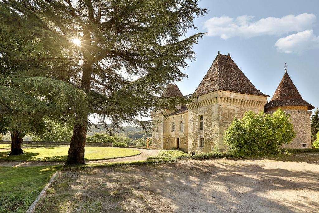 un antiguo castillo con un árbol en primer plano en Château de Belet, en Saint-Aquilin