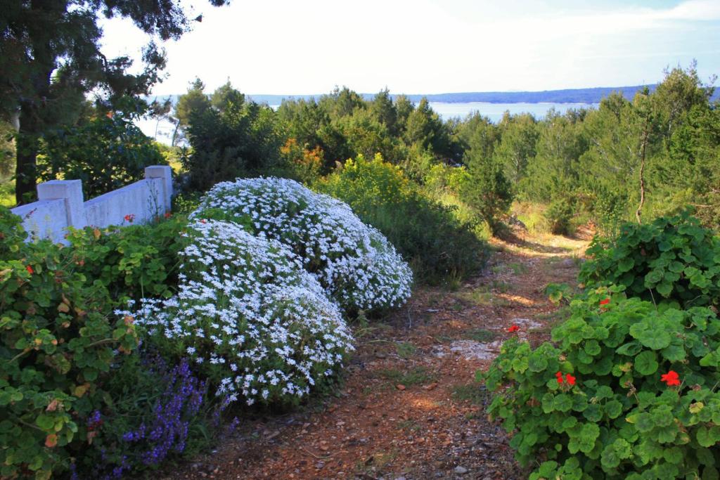 Fotografie z fotogalerie ubytování Apartments by the sea Zavala, Hvar - 8745 v destinaci Jelsa