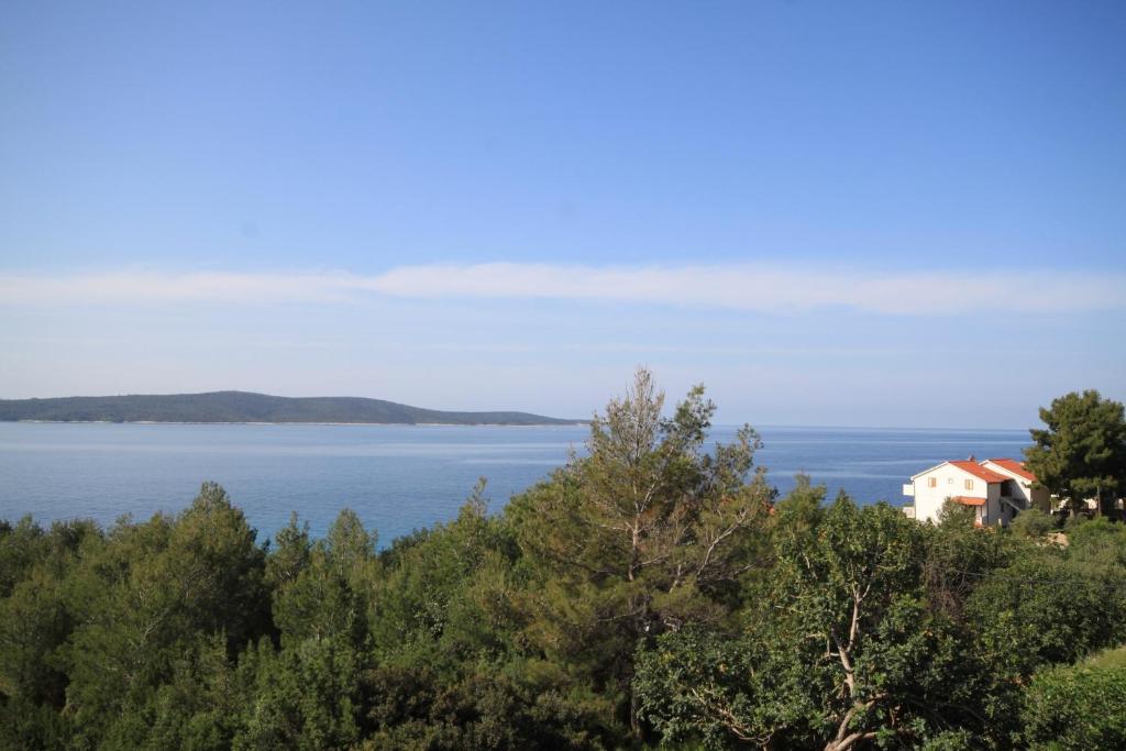 Fotografie z fotogalerie ubytování Apartments by the sea Zavala, Hvar - 8745 v destinaci Jelsa